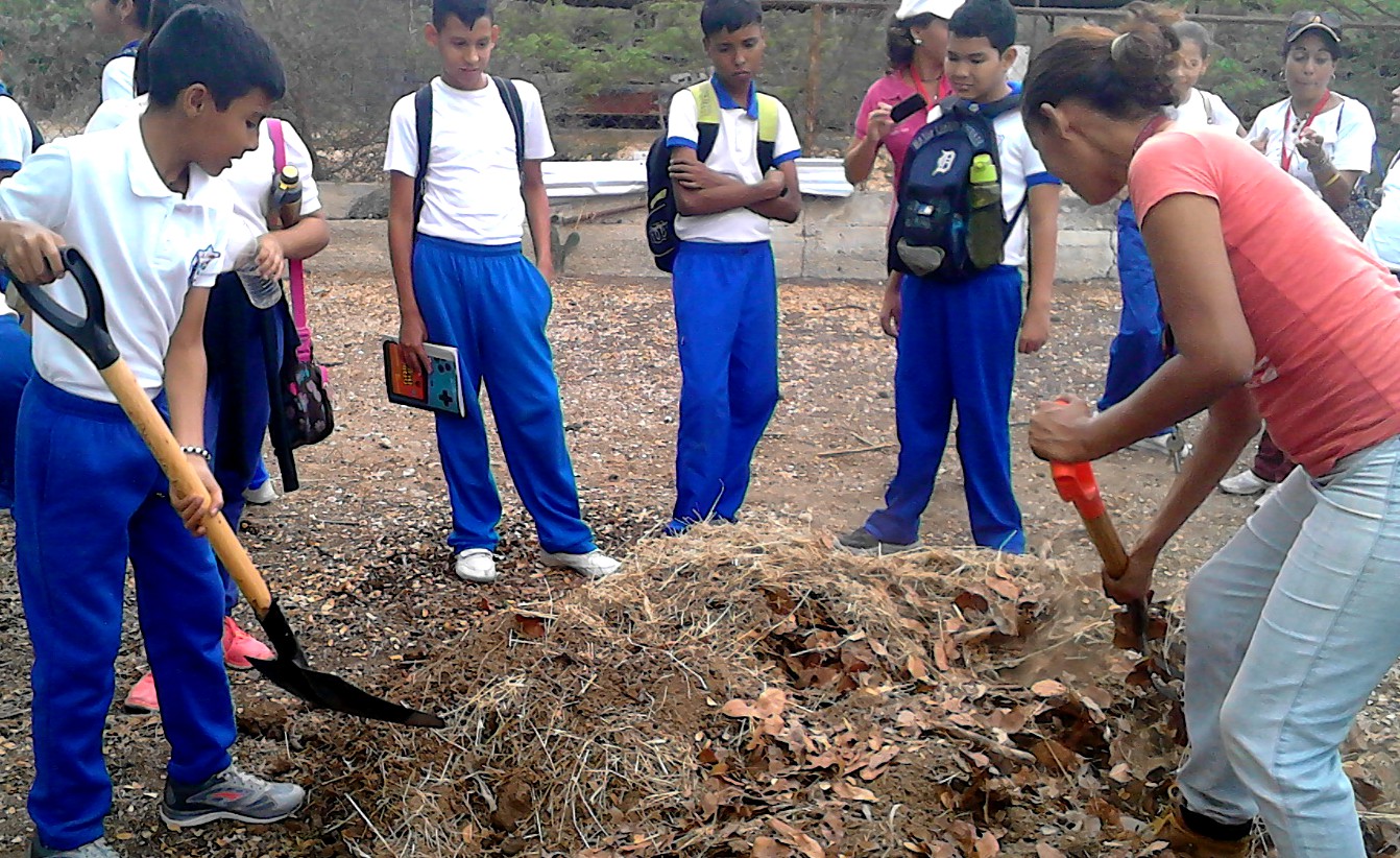 Durante la elaboración del abono orgánico