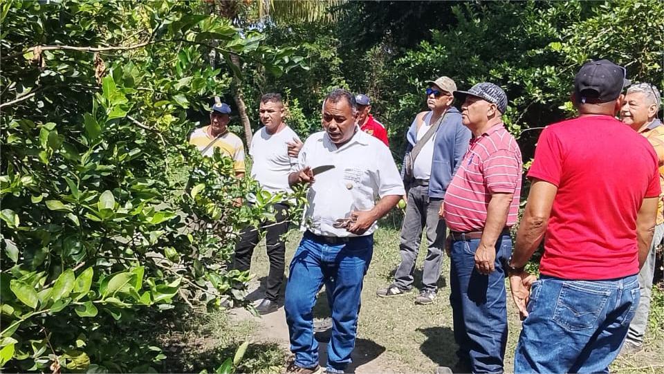 yaracuy 1