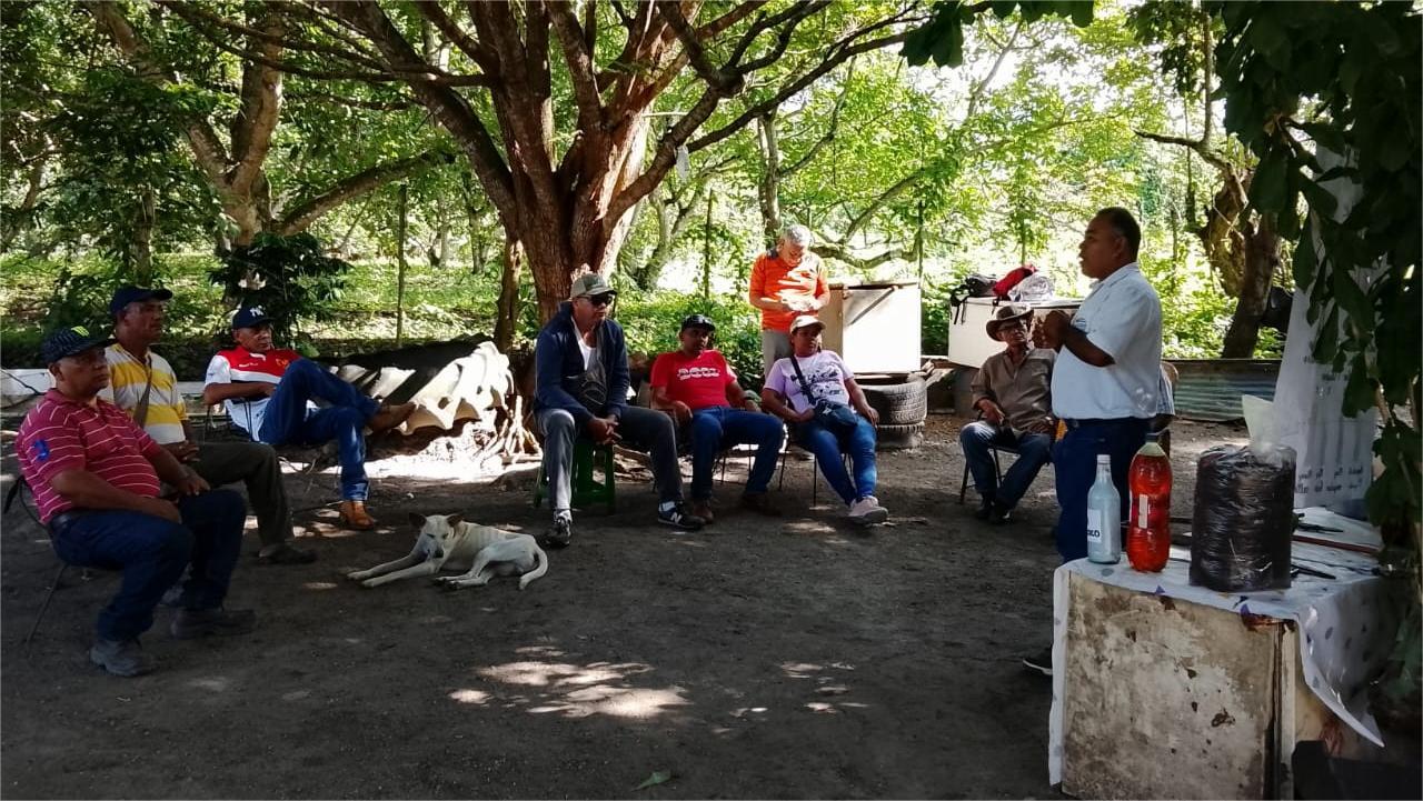 yaracuy 2