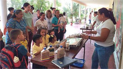 img 20250604 172053 971 (1)
