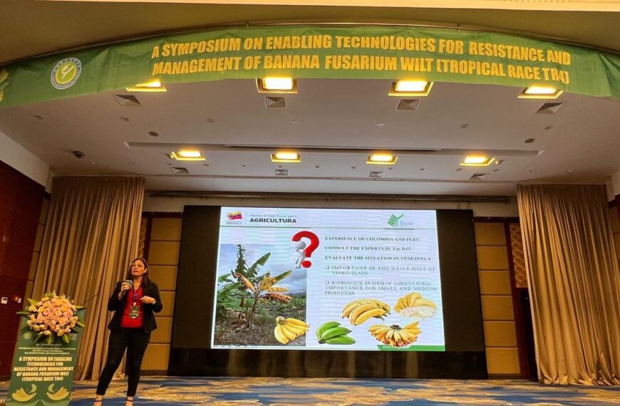 presentación