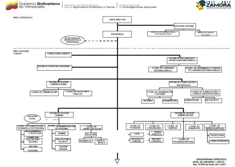 Organigrama Organigrama del INIA