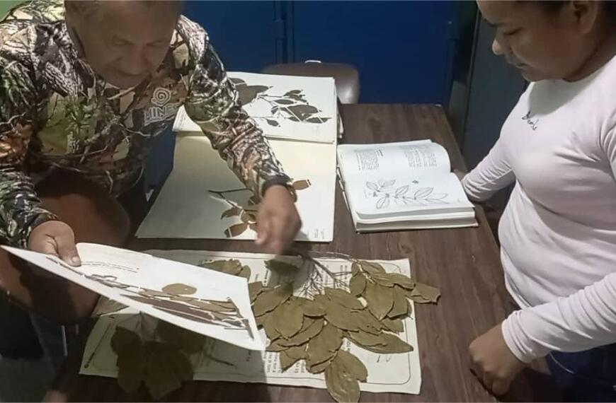 Realizada revisión taxonómica de especies…