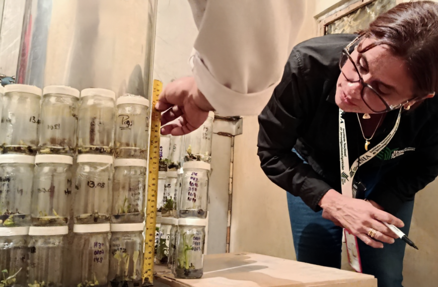 INIA fortalece proyectos de investigación…