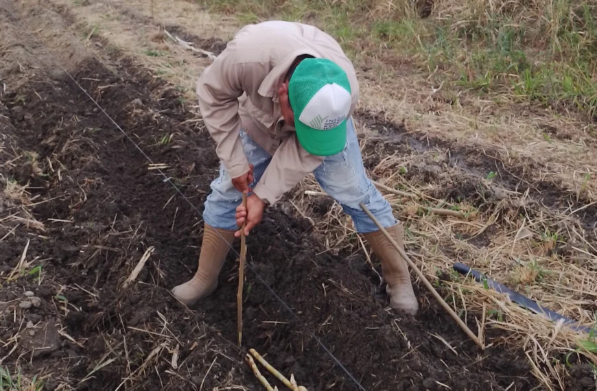 INIA fortalece Banco de Germoplasma…