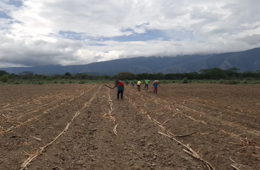 INIA Yaracuy impulsa soberanía tecnológica&hellip;